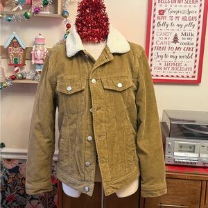 Men's Hollister Tan Corduroy Jacket with Sherpa Collar XS GREAT CONDITION